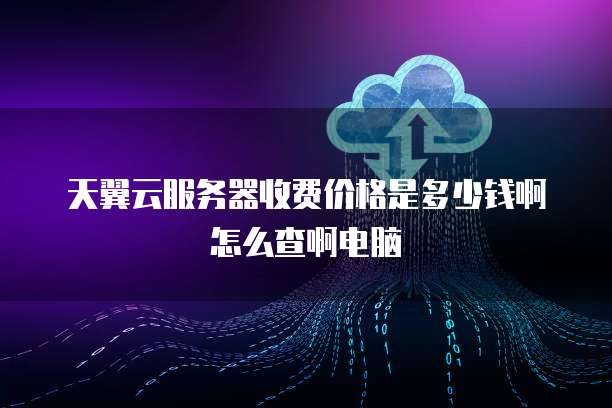 天翼云服务器收费价格是多少钱啊怎么查啊电脑