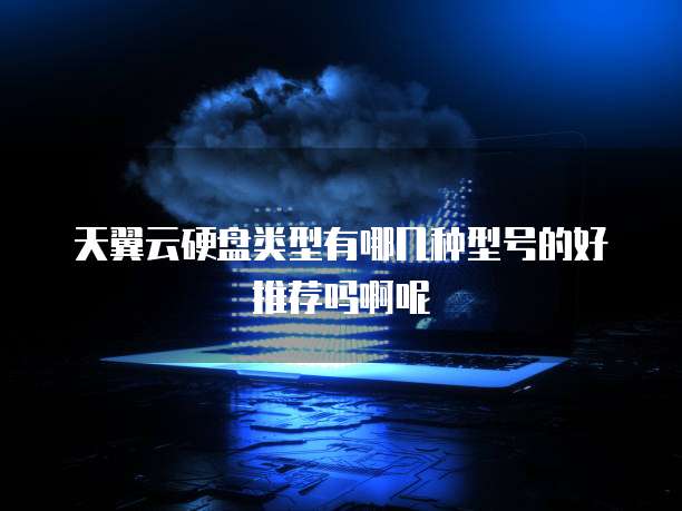 天翼云硬盘类型有哪几种型号的好推荐吗啊呢