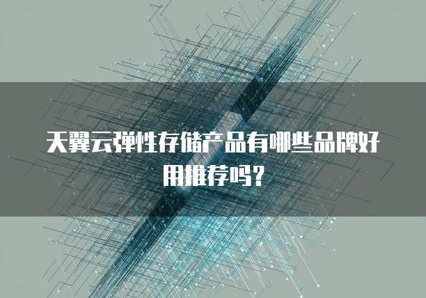 天翼云弹性存储产品有哪些品牌好用推荐吗?