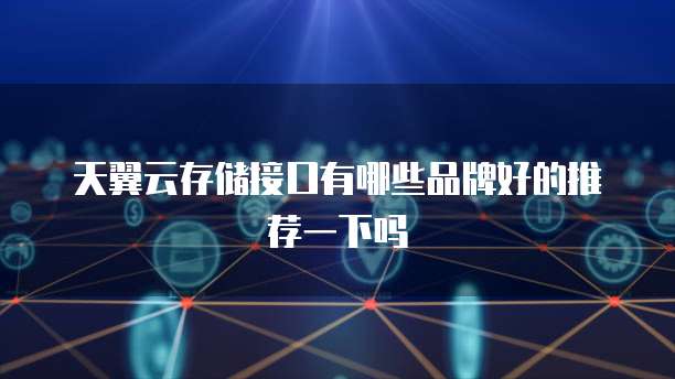 天翼云存储接口有哪些品牌好的推荐一下吗