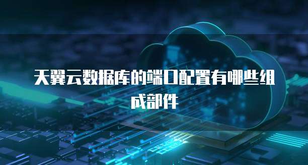 天翼云数据库的端口配置有哪些组成部件