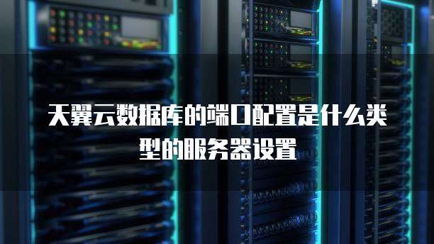 天翼云数据库的端口配置是什么类型的服务器设置