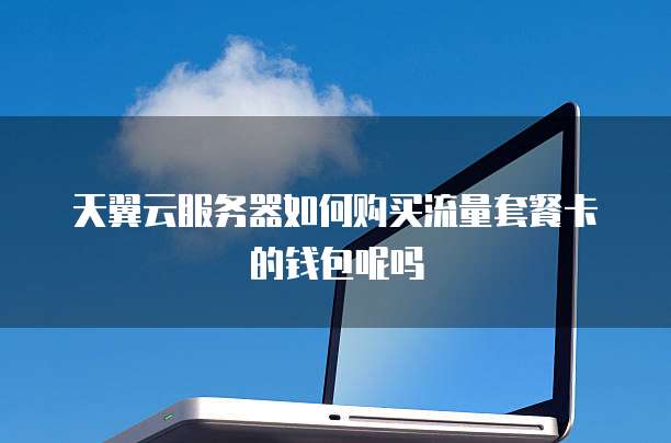 天翼云服务器如何购买流量套餐卡的钱包呢吗