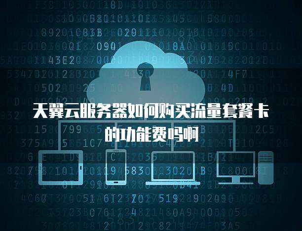 天翼云服务器如何购买流量套餐卡的功能费吗啊