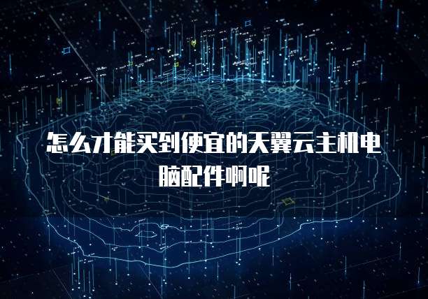 怎么才能买到便宜的天翼云主机电脑配件啊呢