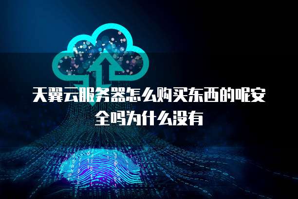 天翼云服务器怎么购买东西的呢安全吗为什么没有