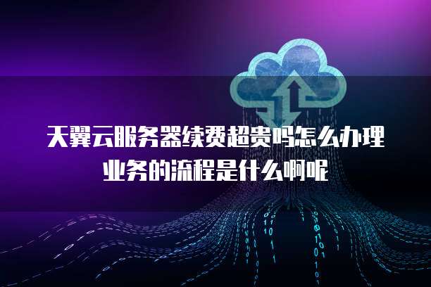 天翼云服务器续费超贵吗怎么办理业务的流程是什么啊呢