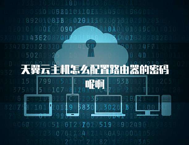 天翼云主机怎么配置路由器的密码呢啊