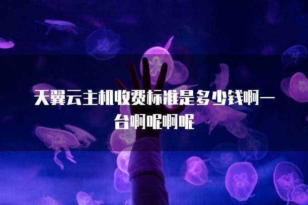 天翼云主机收费标准是多少钱啊一台啊呢啊呢
