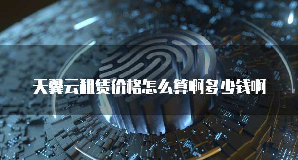 天翼云租赁价格怎么算啊多少钱啊