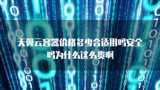 天翼云容器价格多少合适用吗安全吗为什么这么贵啊