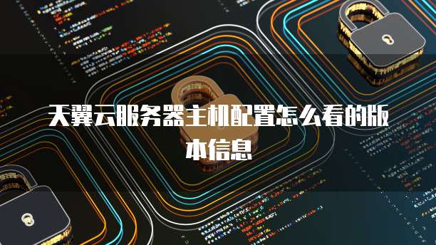 天翼云服务器主机配置怎么看的版本信息