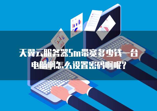 天翼云服务器5m带宽多少钱一台电脑啊怎么设置密码啊呢？