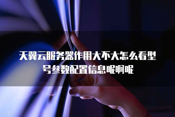 天翼云服务器作用大不大怎么看型号参数配置信息呢啊呢