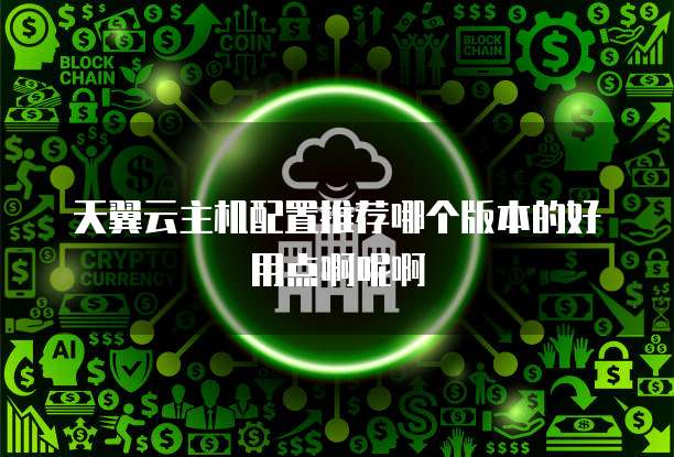 天翼云主机配置推荐哪个版本的好用点啊呢啊