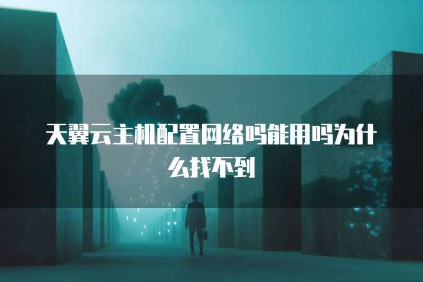 天翼云主机配置网络吗能用吗为什么找不到