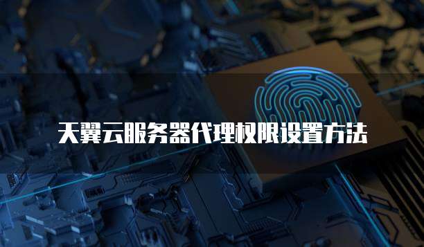 天翼云服务器代理权限设置方法