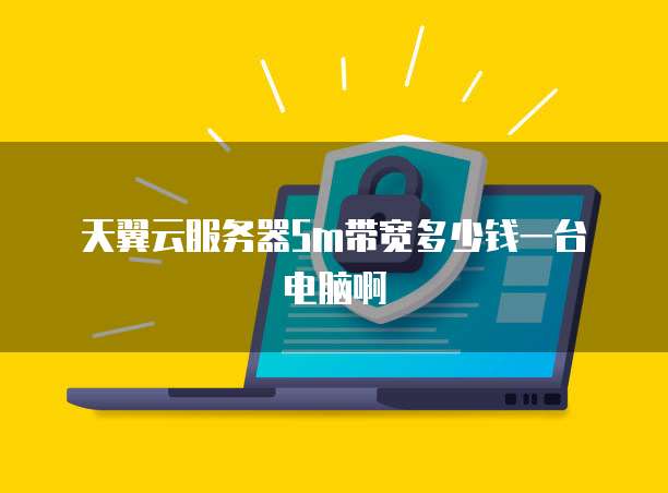 天翼云服务器5m带宽多少钱一台电脑啊
