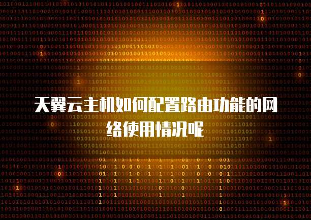 天翼云主机如何配置路由功能的网络使用情况呢