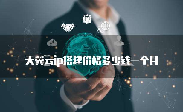 天翼云ip搭建价格多少钱一个月