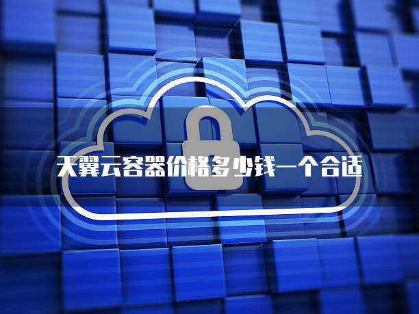 天翼云容器价格多少钱一个合适