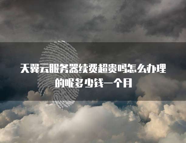 天翼云服务器续费超贵吗怎么办理的呢多少钱一个月