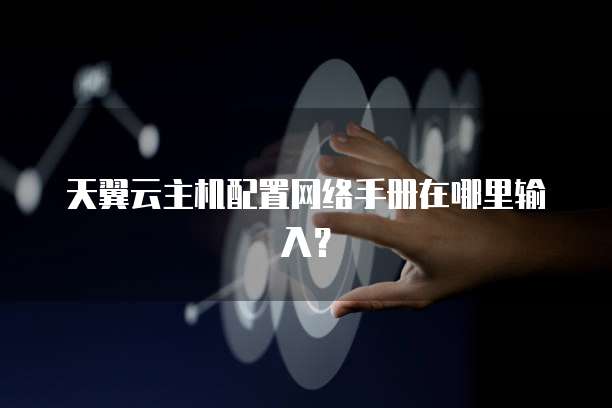 天翼云主机配置网络手册在哪里输入?