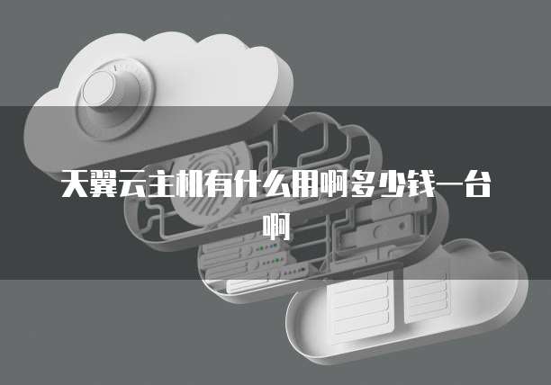 天翼云主机有什么用啊多少钱一台啊