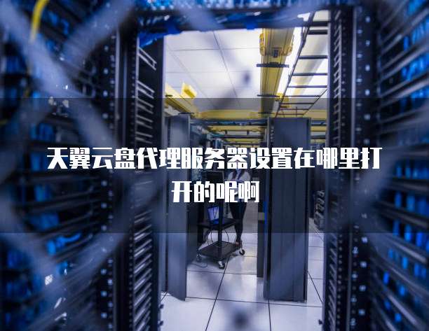 天翼云盘代理服务器设置在哪里打开的呢啊
