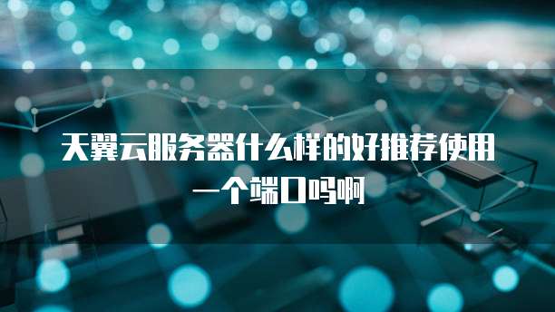 天翼云服务器什么样的好推荐使用一个端口吗啊