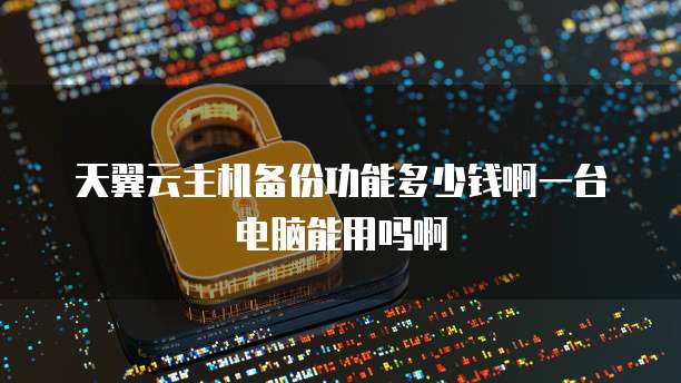 天翼云主机备份功能多少钱啊一台电脑能用吗啊