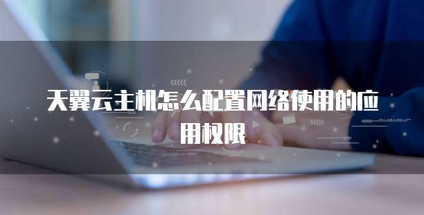 天翼云主机怎么配置网络使用的应用权限