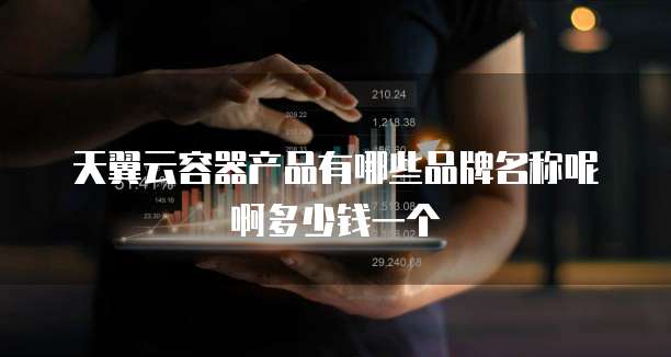 天翼云容器产品有哪些品牌名称呢啊多少钱一个