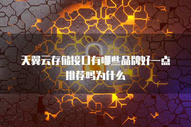 天翼云存储接口有哪些品牌好一点推荐吗为什么