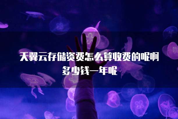 天翼云存储资费怎么算收费的呢啊多少钱一年呢