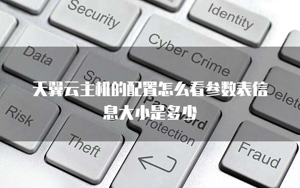 天翼云主机的配置怎么看参数表信息大小是多少