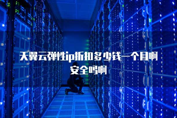 天翼云弹性ip折扣多少钱一个月啊安全吗啊