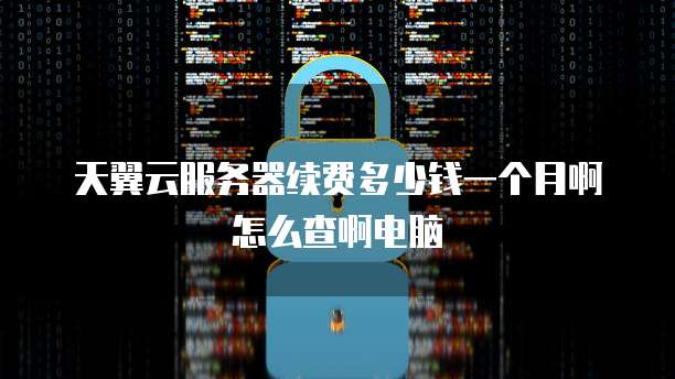 天翼云服务器续费多少钱一个月啊怎么查啊电脑