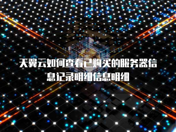 天翼云如何查看已购买的服务器信息记录明细信息明细
