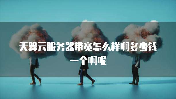 天翼云服务器带宽怎么样啊多少钱一个啊呢