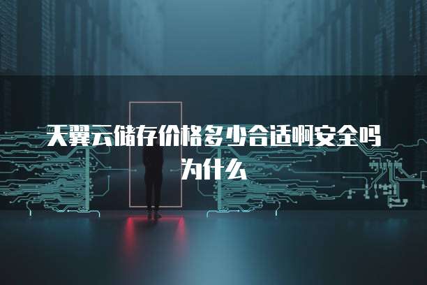 天翼云储存价格多少合适啊安全吗为什么