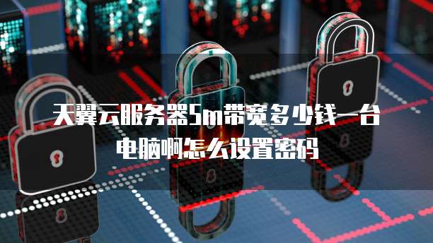 天翼云服务器5m带宽多少钱一台电脑啊怎么设置密码