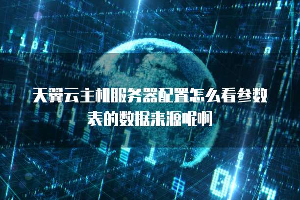 天翼云主机服务器配置怎么看参数表的数据来源呢啊