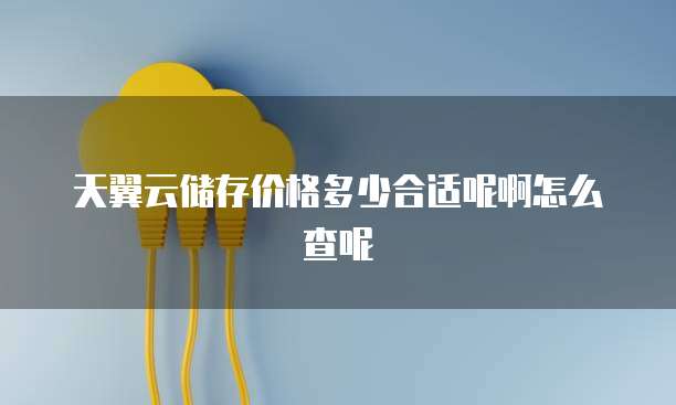 天翼云储存价格多少合适呢啊怎么查呢