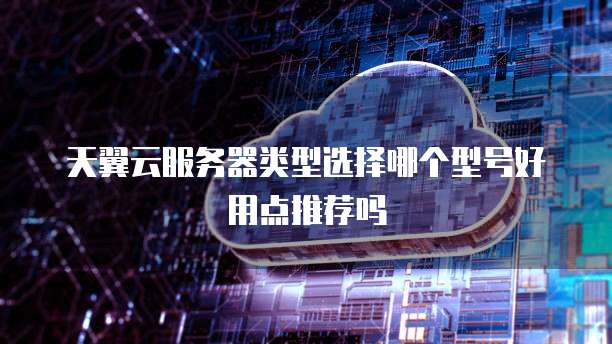 天翼云服务器类型选择哪个型号好用点推荐吗
