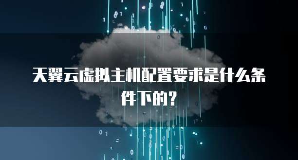 天翼云虚拟主机配置要求是什么条件下的？