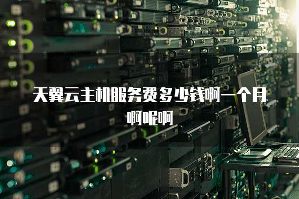 天翼云主机服务费多少钱啊一个月啊呢啊