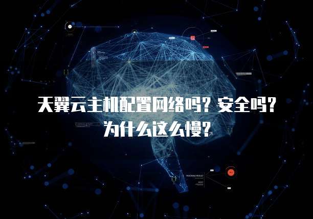 天翼云主机配置网络吗?安全吗?为什么这么慢?