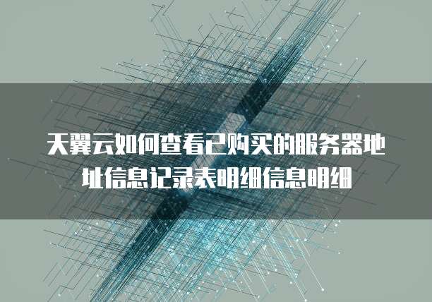 天翼云如何查看已购买的服务器地址信息记录表明细信息明细