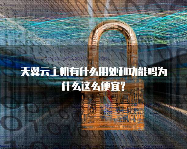 天翼云主机有什么用处和功能吗为什么这么便宜?